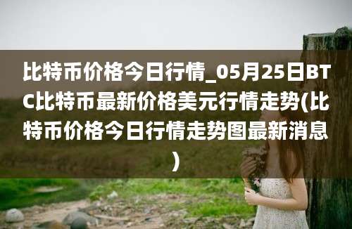 比特币价格今日行情_05月25日BTC比特币最新价格美元行情走势(比特币价格今日行情走势图最新消息)