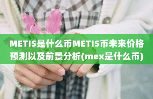 METIS是什么币METIS币未来价格预测以及前景分析(mex是什么币)