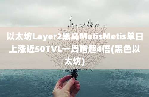 以太坊Layer2黑马MetisMetis单日上涨近50TVL一周增超4倍(黑色以太坊)