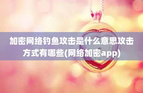 加密网络钓鱼攻击是什么意思攻击方式有哪些(网络加密app)