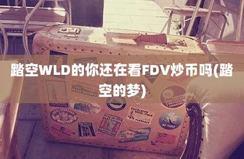 踏空WLD的你还在看FDV炒币吗(踏空的梦)