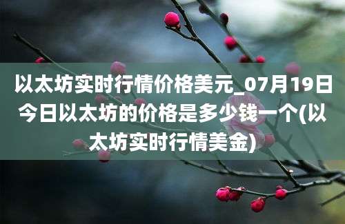 以太坊实时行情价格美元_07月19日今日以太坊的价格是多少钱一个(以太坊实时行情美金)