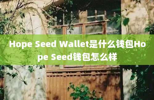 Hope Seed Wallet是什么钱包Hope Seed钱包怎么样