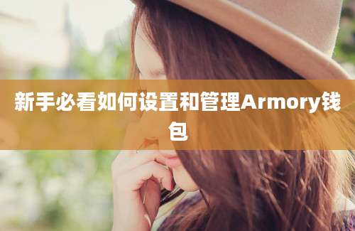 新手必看如何设置和管理Armory钱包