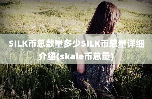 SILK币总数量多少SILK币总量详细介绍(skale币总量)