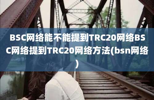 BSC网络能不能提到TRC20网络BSC网络提到TRC20网络方法(bsn网络)