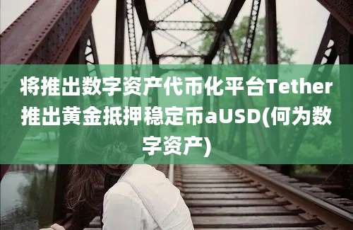 将推出数字资产代币化平台Tether推出黄金抵押稳定币aUSD(何为数字资产)