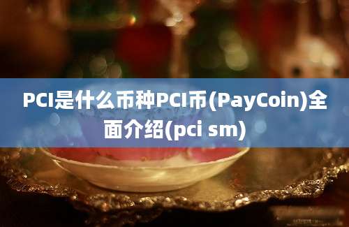 PCI是什么币种PCI币(PayCoin)全面介绍(pci sm)