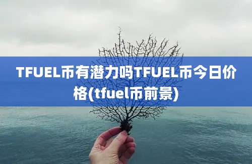 TFUEL币有潜力吗TFUEL币今日价格(tfuel币前景)