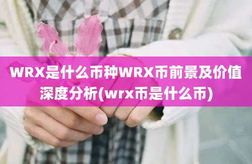 WRX是什么币种WRX币前景及价值深度分析(wrx币是什么币)