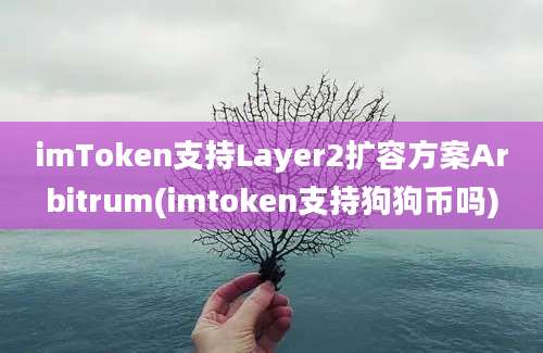 imToken支持Layer2扩容方案Arbitrum(imtoken支持狗狗币吗)