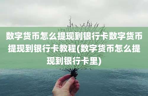 数字货币怎么提现到银行卡数字货币提现到银行卡教程(数字货币怎么提现到银行卡里)