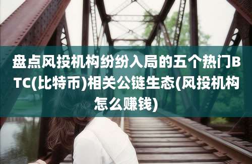 盘点风投机构纷纷入局的五个热门BTC(比特币)相关公链生态(风投机构怎么赚钱)