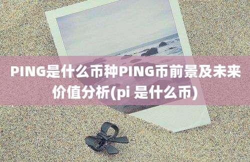 PING是什么币种PING币前景及未来价值分析(pi 是什么币)