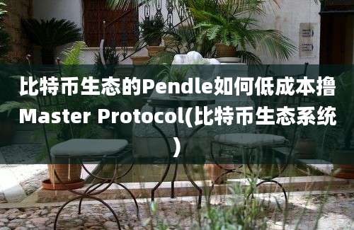 比特币生态的Pendle如何低成本撸Master Protocol(比特币生态系统)