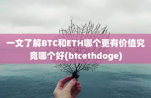 一文了解BTC和ETH哪个更有价值究竟哪个好(btcethdoge)