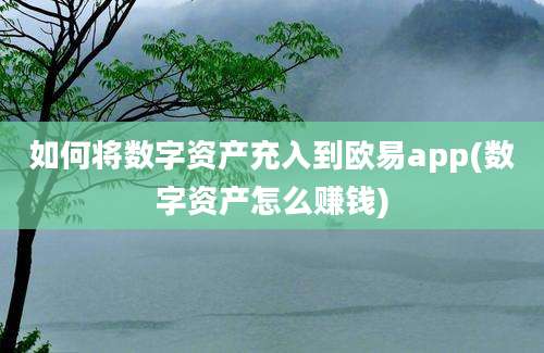 如何将数字资产充入到欧易app(数字资产怎么赚钱)