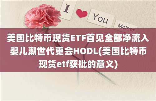 美国比特币现货ETF首见全部净流入婴儿潮世代更会HODL(美国比特币现货etf获批的意义)