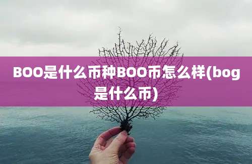 BOO是什么币种BOO币怎么样(bog是什么币)