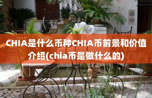 CHIA是什么币种CHIA币前景和价值介绍(chia币是做什么的)