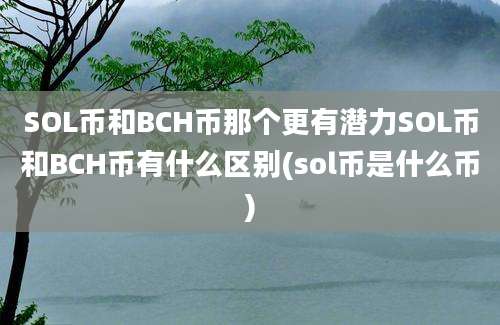 SOL币和BCH币那个更有潜力SOL币和BCH币有什么区别(sol币是什么币)