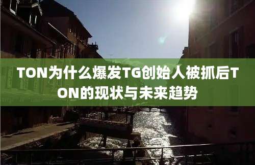 TON为什么爆发TG创始人被抓后TON的现状与未来趋势