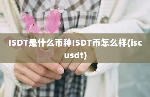 ISDT是什么币种ISDT币怎么样(iscusdt)