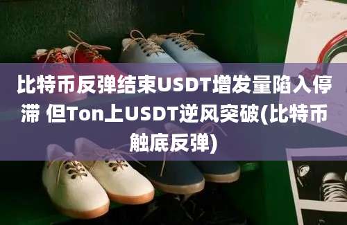 比特币反弹结束USDT增发量陷入停滞 但Ton上USDT逆风突破(比特币触底反弹)