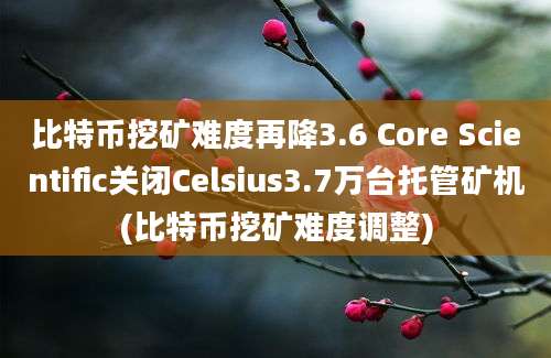 比特币挖矿难度再降3.6 Core Scientific关闭Celsius3.7万台托管矿机(比特币挖矿难度调整)