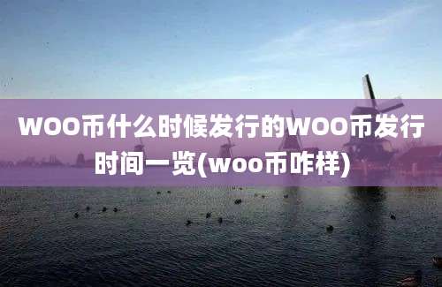 WOO币什么时候发行的WOO币发行时间一览(woo币咋样)