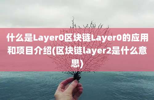 什么是Layer0区块链Layer0的应用和项目介绍(区块链layer2是什么意思)