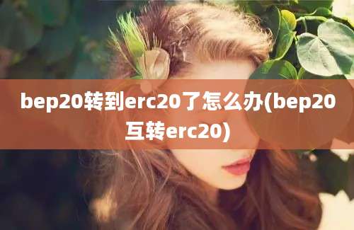 bep20转到erc20了怎么办(bep20互转erc20)