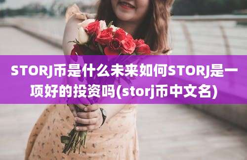 STORJ币是什么未来如何STORJ是一项好的投资吗(storj币中文名)