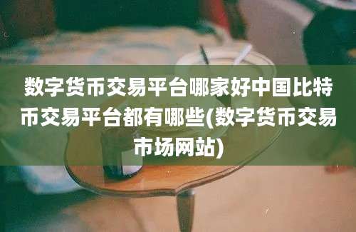 数字货币交易平台哪家好中国比特币交易平台都有哪些(数字货币交易市场网站)