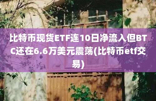 比特币现货ETF连10日净流入但BTC还在6.6万美元震荡(比特币etf交易)