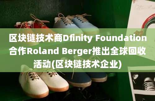 区块链技术商Dfinity Foundation合作Roland Berger推出全球回收活动(区块链技术企业)