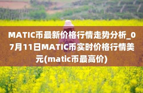 MATIC币最新价格行情走势分析_07月11日MATIC币实时价格行情美元(matic币最高价)