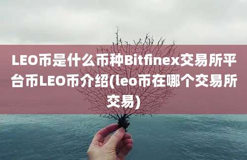 LEO币是什么币种Bitfinex交易所平台币LEO币介绍(leo币在哪个交易所交易)