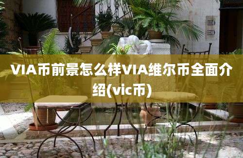 VIA币前景怎么样VIA维尔币全面介绍(vic币)