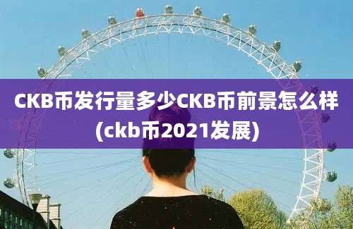 CKB币发行量多少CKB币前景怎么样(ckb币2021发展)