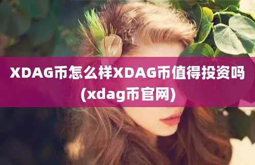 XDAG币怎么样XDAG币值得投资吗(xdag币官网)