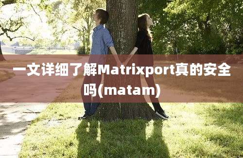 一文详细了解Matrixport真的安全吗(matam)