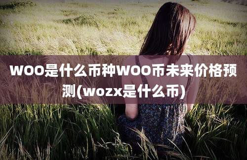 WOO是什么币种WOO币未来价格预测(wozx是什么币)