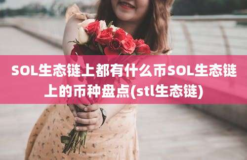 SOL生态链上都有什么币SOL生态链上的币种盘点(stl生态链)