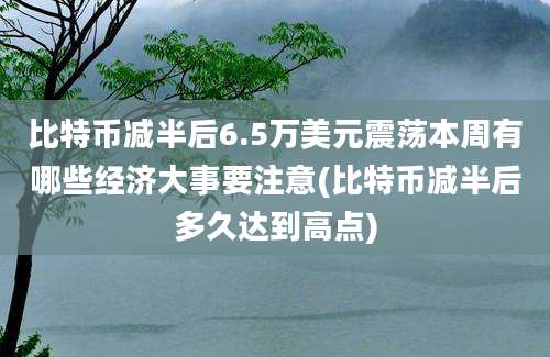 比特币减半后6.5万美元震荡本周有哪些经济大事要注意(比特币减半后多久达到高点)