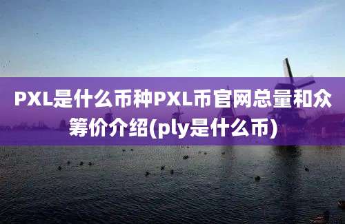 PXL是什么币种PXL币官网总量和众筹价介绍(ply是什么币)