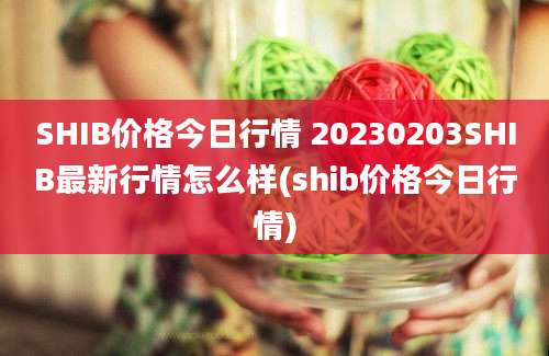 SHIB价格今日行情 20230203SHIB最新行情怎么样(shib价格今日行情)