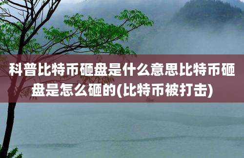 科普比特币砸盘是什么意思比特币砸盘是怎么砸的(比特币被打击)