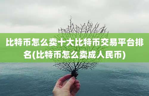 比特币怎么卖十大比特币交易平台排名(比特币怎么卖成人民币)