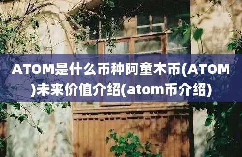 ATOM是什么币种阿童木币(ATOM)未来价值介绍(atom币介绍)